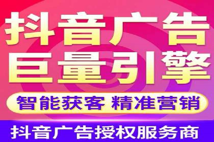 网络营销新篇章：竞价推广案例分析
